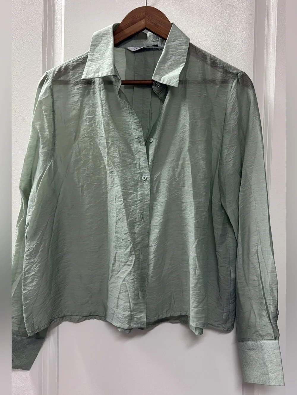 Zara Sage Green Sheer Button-Down Shirt